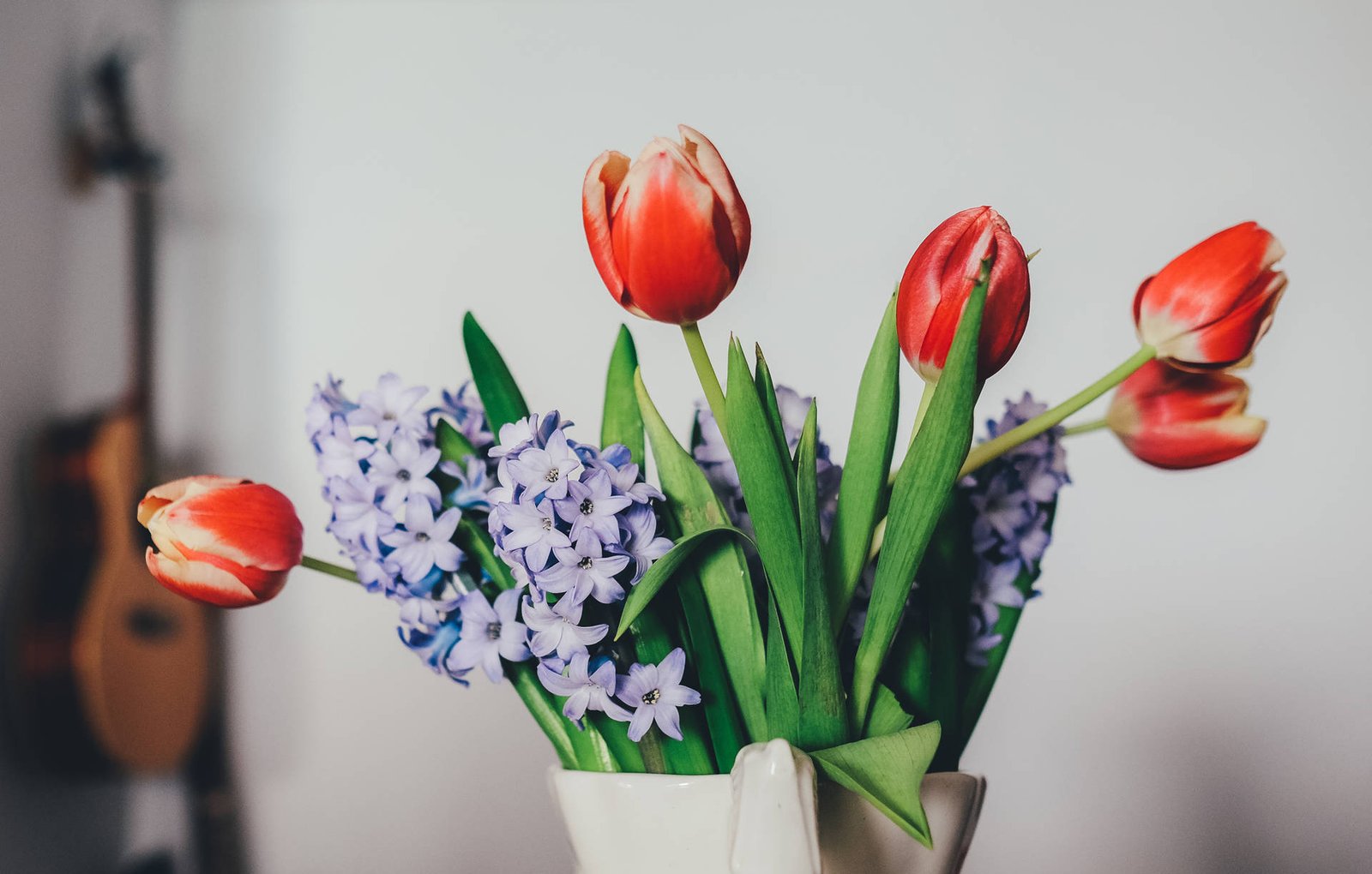 junior-reis-WfnP_CFPybo-unsplash