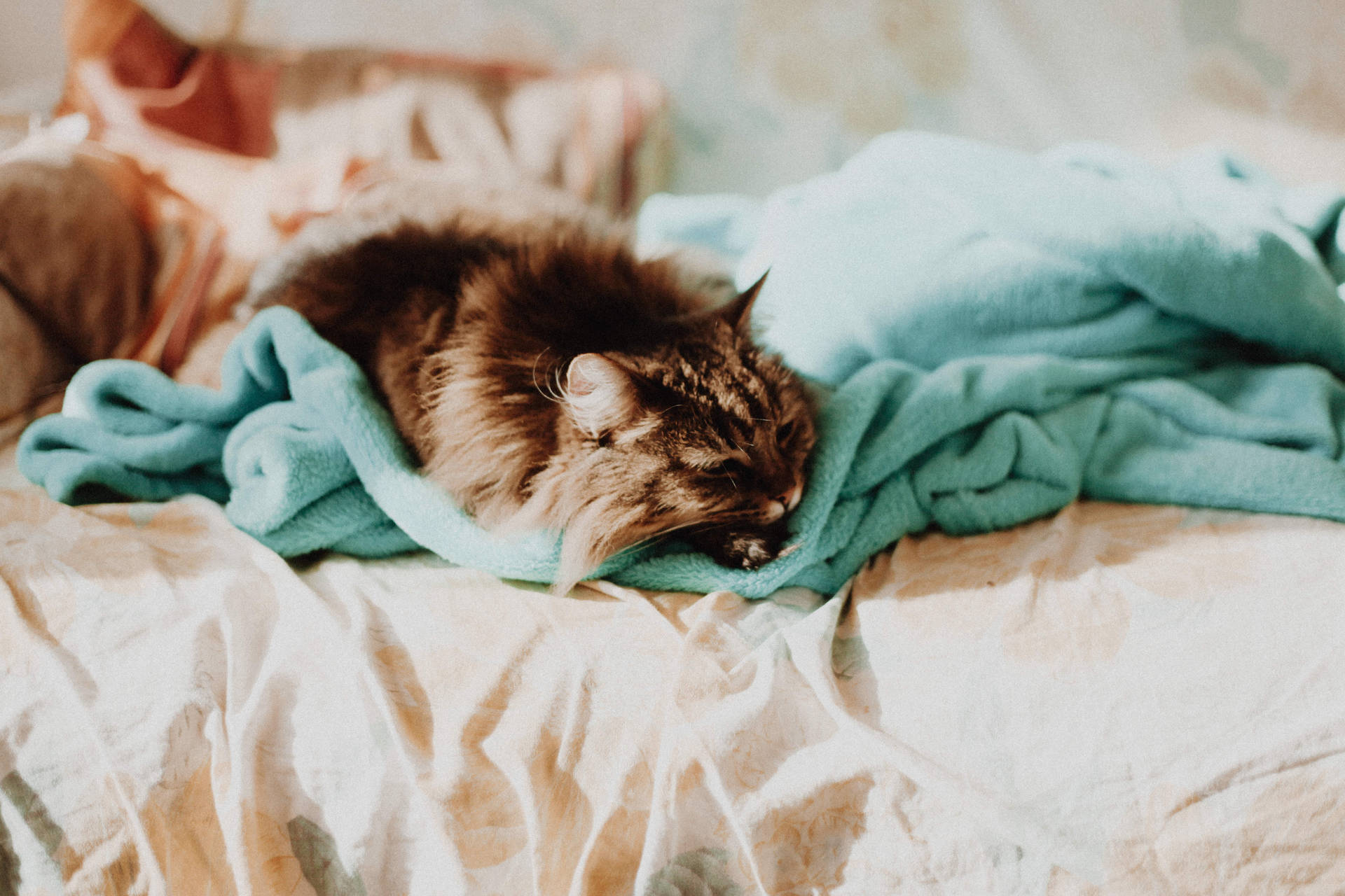 Depositphotos_350694770_xl-2015-1
