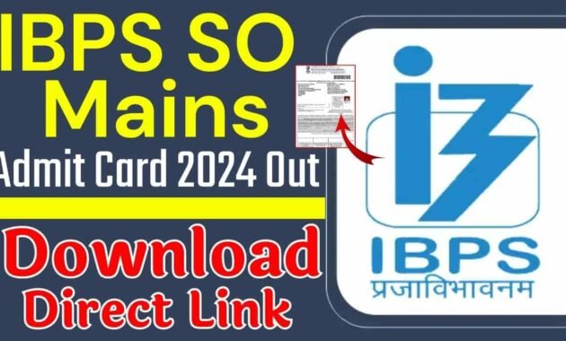 IBPS SO Mains Exam