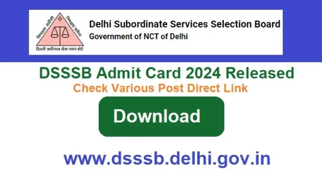 DSSSB Admit Card 2024 